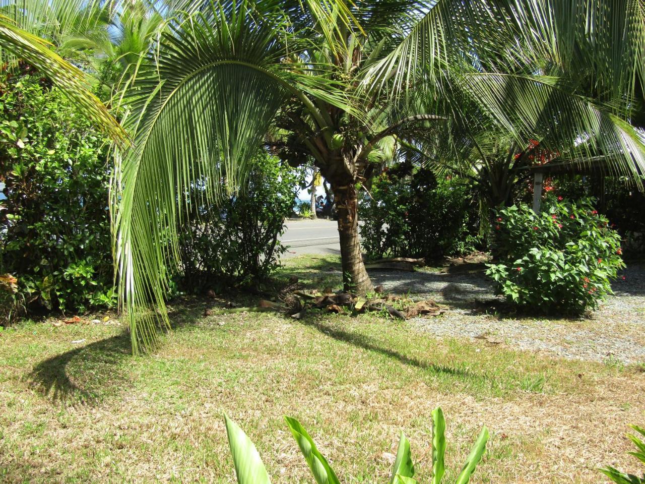 Pineapple House Manzanillo Villa Kültér fotó